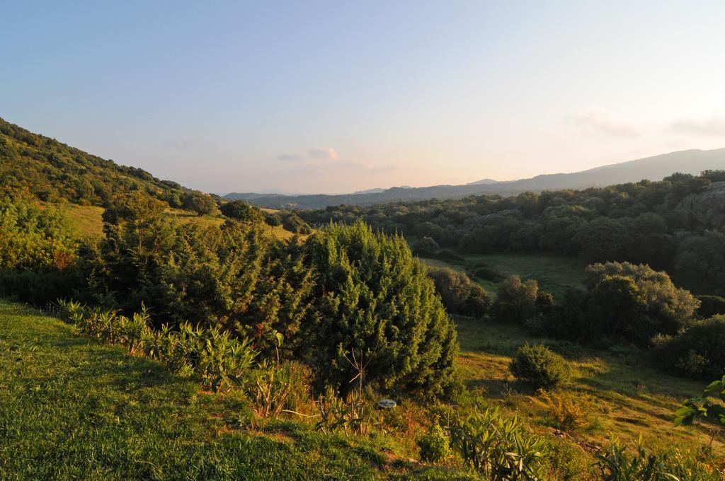 B&B La Murichessa Arzachena Kültér fotó